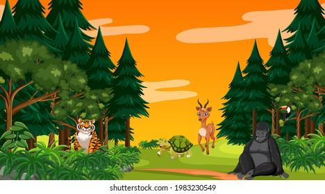 Forest at sunset time scene with different wild animals illustration