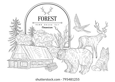 Forest Themed Vintage Sketch