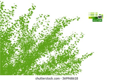 Forest tracing with leaves. Vector