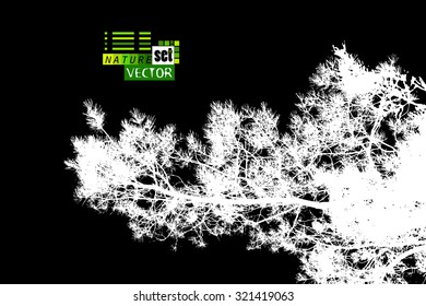 Forest tracing needles. Vector