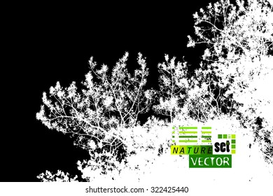 Forest tracing needles. Vector