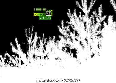 Forest tracing needles. Vector