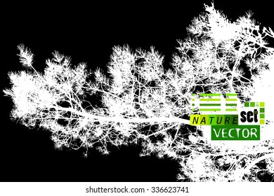Forest tracing needles. Vector