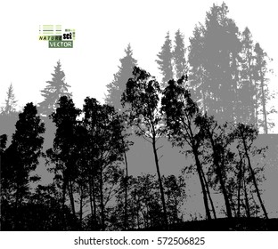 forest tracing. Vector