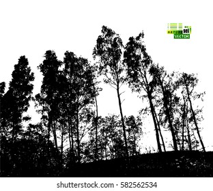 forest tracing. Vector