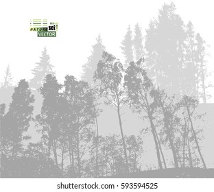 forest tracing. Vector