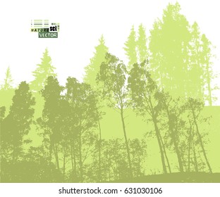 forest tracing. Vector