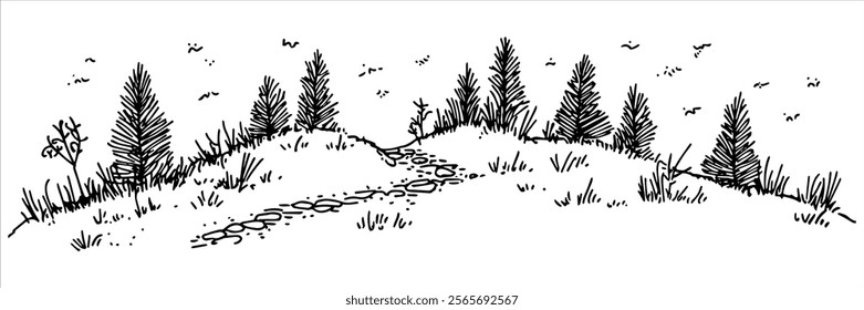 forest trail with pine trees and grassy hill, black vector illustration