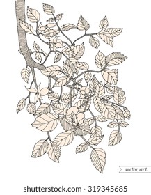 Forest tree branch with leaves and berries. Vector art. Hand drawn artwork. Zentangle. Bohemia concept for invitations, cards, tickets, congratulations, branding, logo, label. Black and white, beige