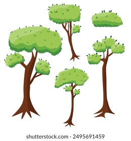 Forest tree collection, botanical elements, deciduous plants set. Leaves and branches of tree, flat vector illustration on white background.