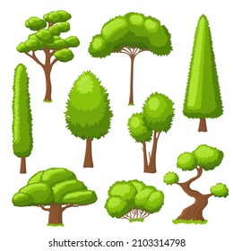 Forest tree collection. Simple trees, green environment isolated elements. Garden bushes, plants with foliage for nature landscape recent vector set