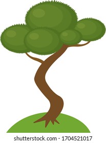 forest tree with a curved long trunk fluffy green top concept of summer and nature plant on a white background