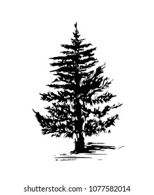 Forest tree grows - Silhouette, stamp for decoration. Christmas tree isolated on white background - vector illustration staffing. 
