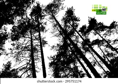 Forest Tree Silhouettes. Vector