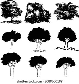 forest tree sketch set, hand drawn graphic forest, isolated vector illustration, black and white silhouette elements 
