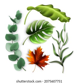 Forest Tree And Tropic Bush Leaves Set Vector. Orange Maple And Polyester Jungle Leaves, Eucalyptus And Rosemary Branch Culinary Ingredient. Flora Template Realistic 3d Illustrations