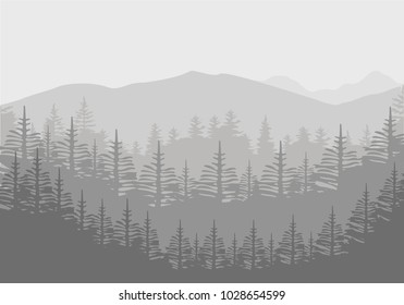 Forest trees background