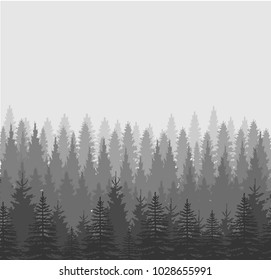 Forest trees background