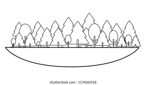 Forest and trees in black and white
