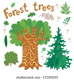Forest trees, bushes, leaves. Set of cute elements for design. Vector illustration.