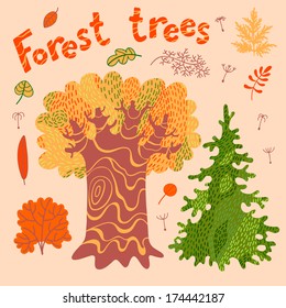 Forest trees, bushes, leaves. Set of cute elements for design. Vector illustration.