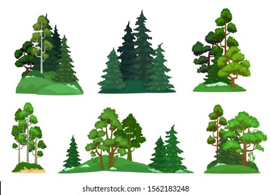 Forest trees. Green fir tree, forests pine composition and isolated trees. Foresting botanical woodland or park green tree trunk signs. Cartoon vector illustration icons set