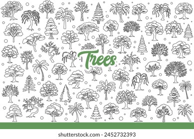 Forest trees growing in different regions, for concept of biodiversity. Seasonal and evergreen trees covered with foliage and towering in national parks or taiga. Hand drawn doodle