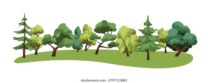 Forest trees, horizontal landscape. Green woodland, nature panorama. Summer wood, mixed deciduous and conifer plants. Spring woods, park. Flat cartoon vector illustration isolated on white background