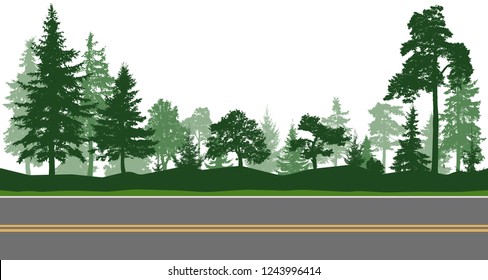 Forest trees, horizontal road. Vector illustration