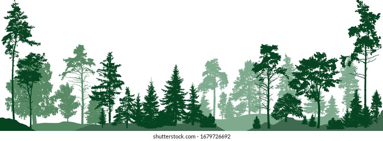 Forest trees. Isolated on white background. Vector illustration