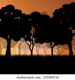 Forest trees landscape sunrise vector background illustration mystery concept