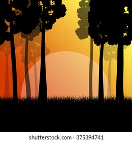 Forest trees landscape sunrise vector background illustration mystery concept