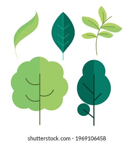 forest trees and leaves set