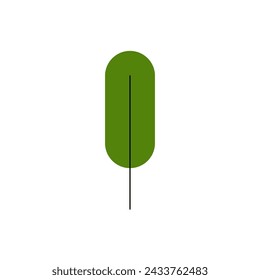 Forest trees and natural botanical various plants collection, vegetation in modern and abstract simple style, natural landscape flat vector illustration on white background.
