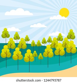 forest trees nature plants landscape