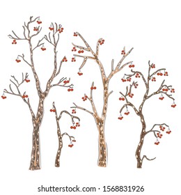 Forest Trees with Red Berries. Scandinavian Style. Quality Work. 
