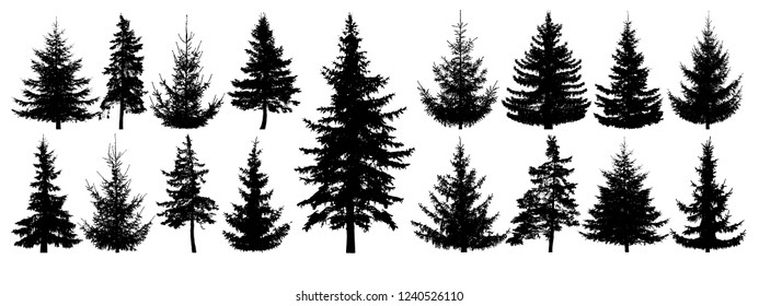 Forest Trees Set. Isolated Vector Silhouette. Coniferous Forest. Christmas Tree, Fir-tree, Pine, Pine-tree, Scotch Fir, Cedar