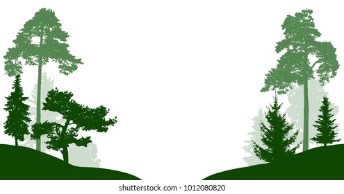 Forest trees set vector silhouette. Wood isolated on white background. Trees in the park pass through the road or river