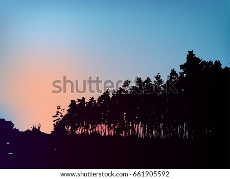Forest trees silhouette on sunset vector template. Pines silhouette as a background for your design.