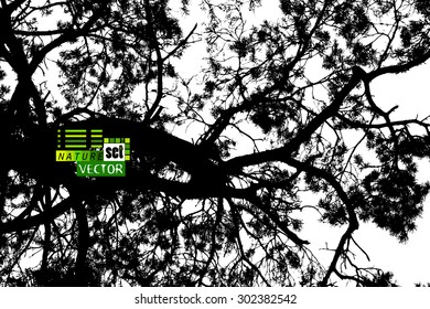 Forest trees silhouette. Vector