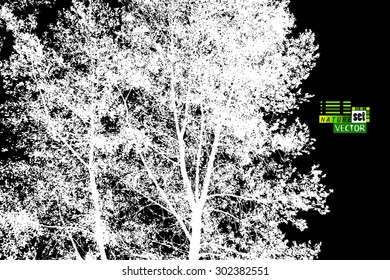 Forest trees silhouette. Vector