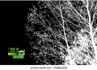 Forest trees silhouette. Vector