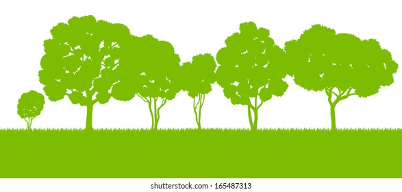 Forest trees silhouettes landscape illustration background vector card template concept