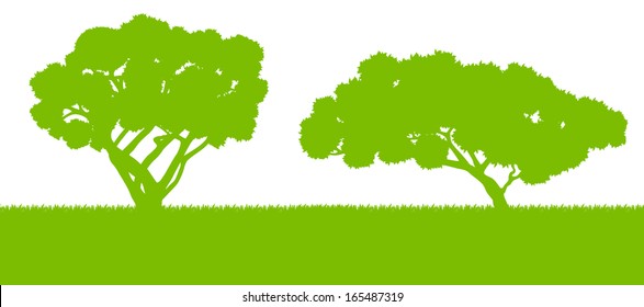 Forest trees silhouettes landscape illustration background vector card template concept