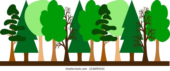 Forest trees. Spruce, pine, maple, beech and without leaves. Green nature. Vector illustration. Flat landscape.