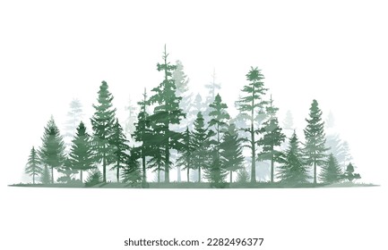 Forest trees watercolor vector illustration. Pine tree panorama view.