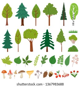 Forest trees. Woodland tree, wild berries plants and mushroom. Forests floral elements or wood botanical icons, pine oak birch trees, mushrooms and different leaves. Vector isolated sign set