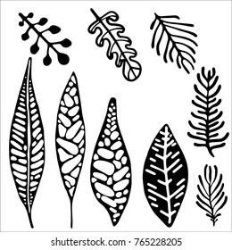 Forest  and tropical wild leaves. Vector. Hand drawn artwork. Set collection. Black and white.Leaves of geometric forms. Individual elements for composing compositions