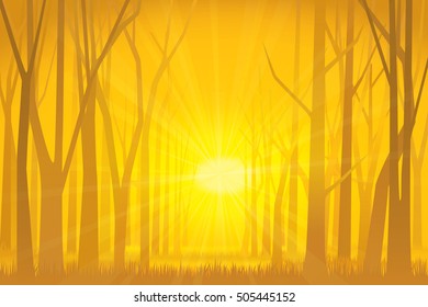 Forest with twilight. Vector illustration