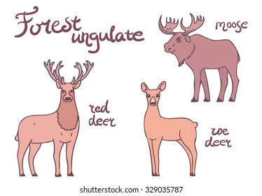Forest ungulate animals set. Isolated illustration with lettering 